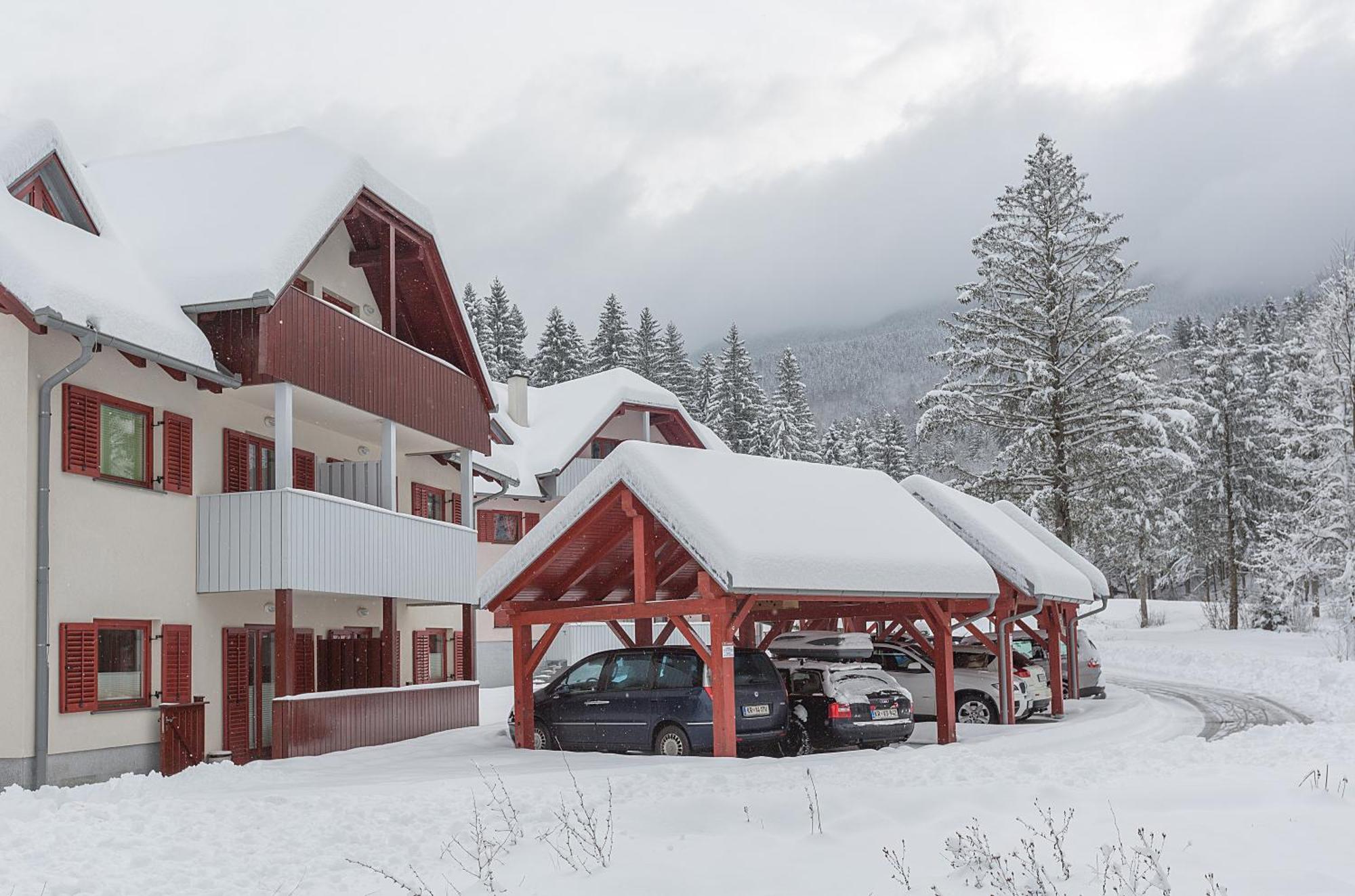 Bohinjskih 7 *